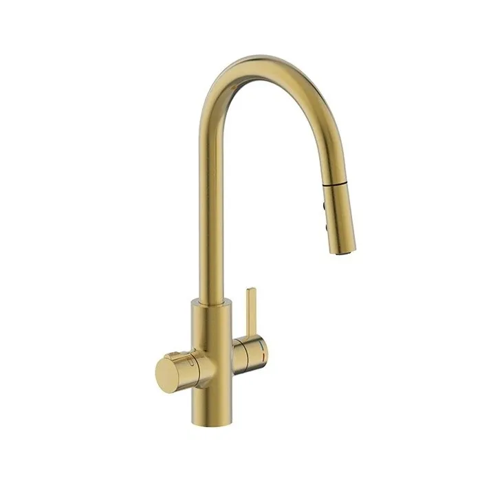Gold 4 in 1 Tap With Hose